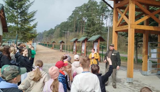 Ekologiczna przygoda uczniów SP nr 3 w Mławie – edukacyjna wyprawa do zagrody żubrów
