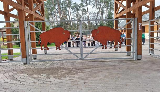 Ekologiczna przygoda uczniów SP nr 3 w Mławie – edukacyjna wyprawa do zagrody żubrów