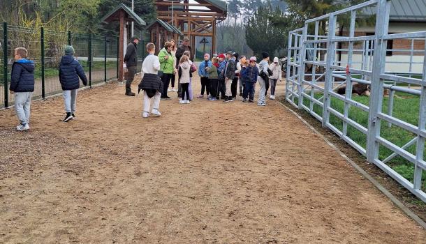 Ekologiczna przygoda uczniów SP nr 3 w Mławie – edukacyjna wyprawa do zagrody żubrów