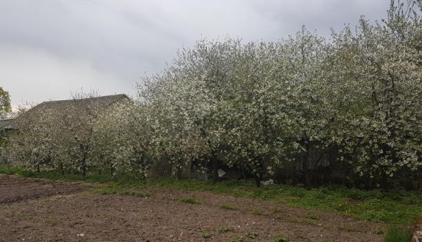 Fotografie miłośników pszczół ze Szkoły Podstawowej nr 7